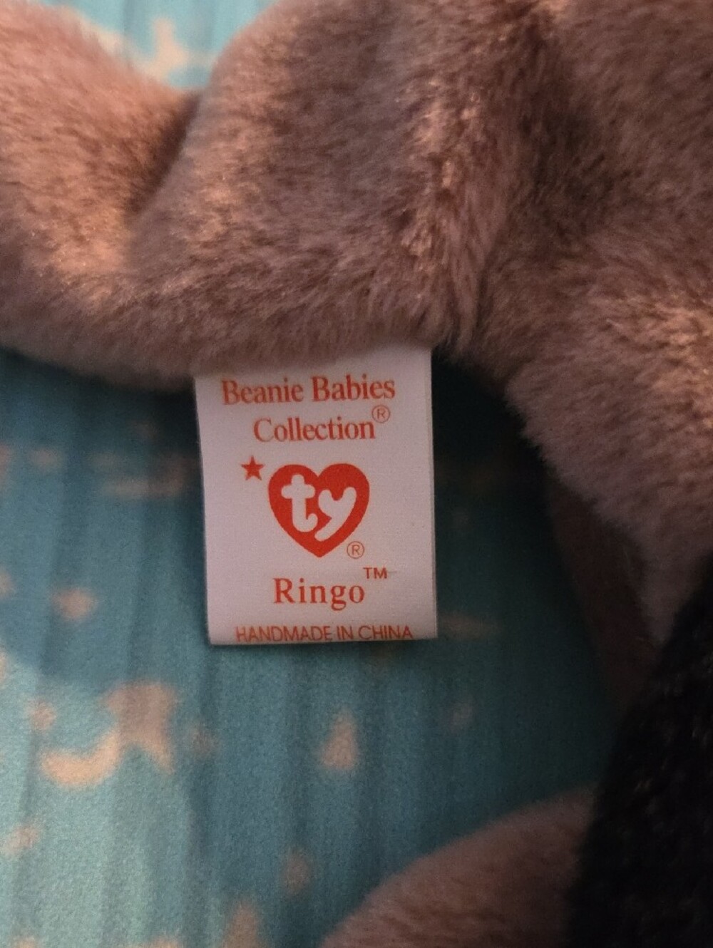 Ty Ringo Beanie Baby - Picture 3 of 4